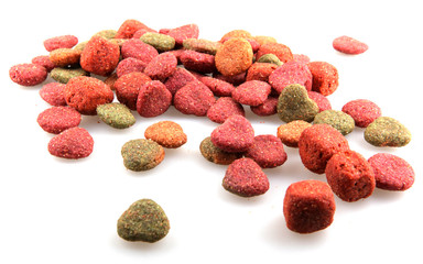 dry dog food