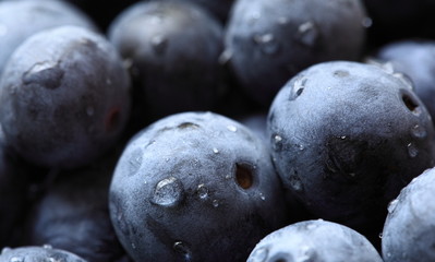 Blueberry Close-up