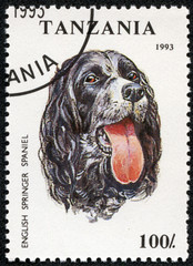 stamp printed in Tanzania shows English Springer Spaniel