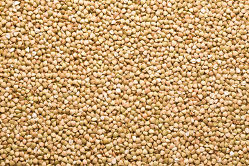 l green buckwheat