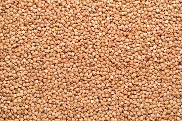 Fototapeta premium buckwheat