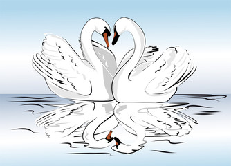 pair of swans