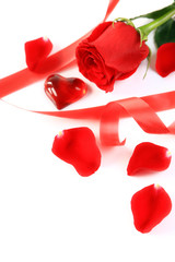 Red rose and petals with ribbons