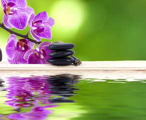 orquídea con piedras y reflejo en agua