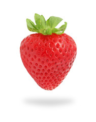 One strawberry on white background