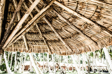 Tropical resort and palms, Mahe island, Seychelles