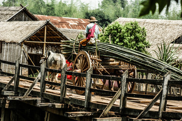 Typical landscape in Myanmar