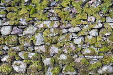 Natursteinmauer mit Moos überwachsen