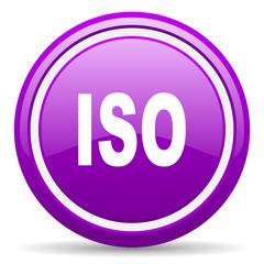 iso violet glossy icon on white background