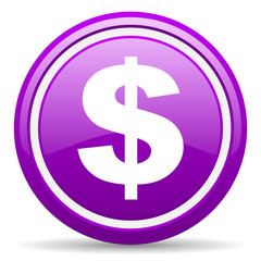 us dollar violet glossy icon on white background