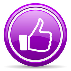 thumb up violet glossy icon on white background