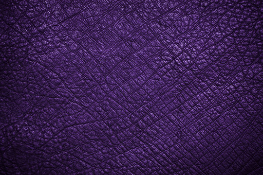 leather purple