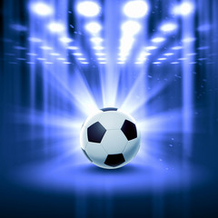 Fototapeta premium black and white soccer ball