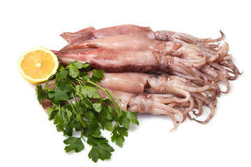 a group of fresh squid with lemon and parsley