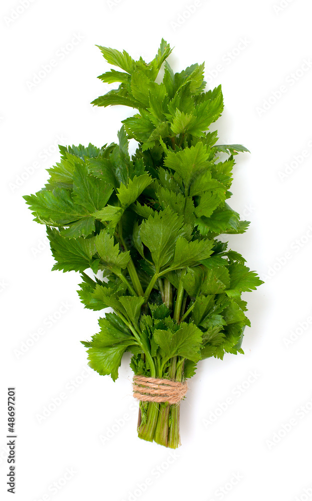 Poster celery leafs