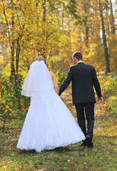 Newlyweds walking in autumn forest