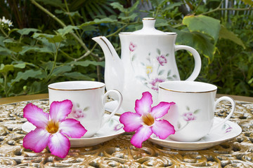 Tea Time in the Garden with Desert Rose Flower on Golden Table