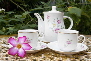 Tea Time in the Garden with Desert Rose Flower on Golden Table