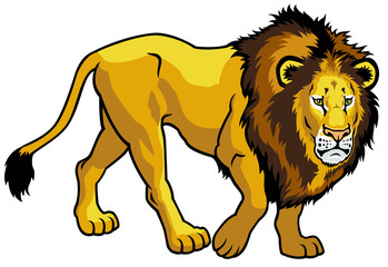 lion on white © insima