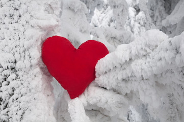 Lonely heart on snow - obrazy, fototapety, plakaty