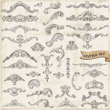 Vector Set: Calligraphic Design Elements and Page Decoration