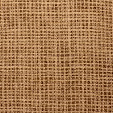 Juta, sfondo  - Jute background