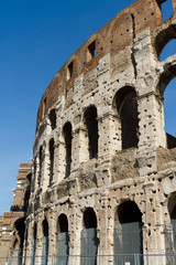 Fototapeta premium Colosseum, Rome