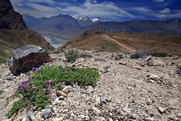 himalayas