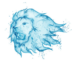 water splash lion isolated on white background