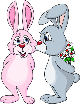 Rabbit couple kissing
