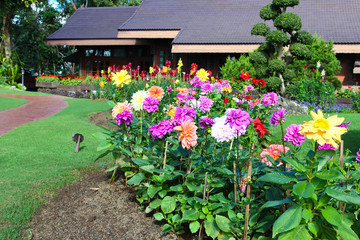 Landscaped flower garden