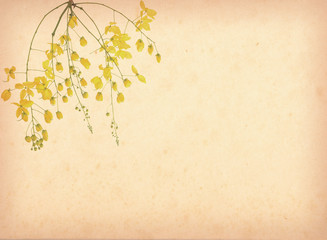 yellow flower blossom on old antique vintage paper background