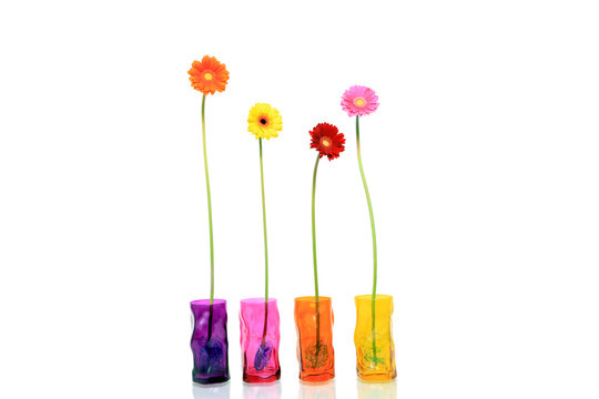 Germini im bunten Glas