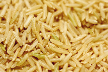 Close-up of uncooked brown rice