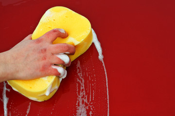 big foamy yellow sponge
