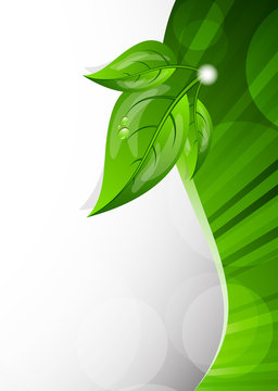 Background with leaves