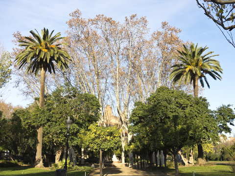 Umbraculum: Building garden, Ciutadella Park, Barcelona