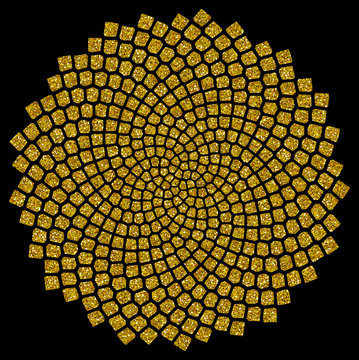 Sonnenblumen - Samen - Fibonacci-Spirale - Goldener Schnitt