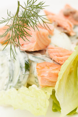 salad with salmon