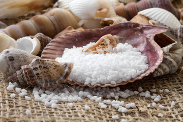 Spa background with sea salt and  shells