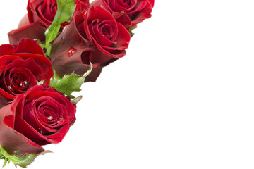 Greeting card with a bouquet of roses