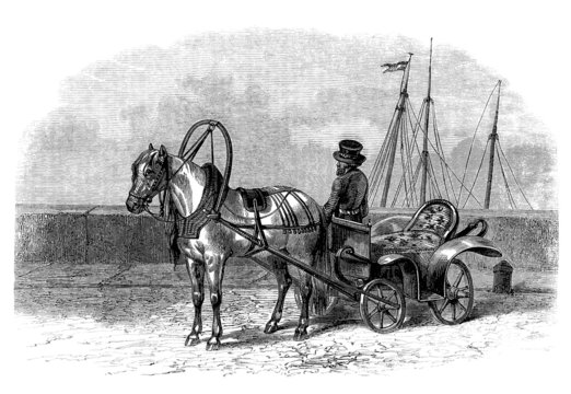 Russian Traditional Cab : Troski - 19th century