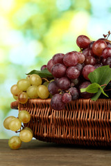 assortment of ripe sweet grapes in basket, on green background