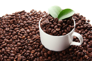 Coffee beans with leaves isolated on white