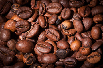 Coffee beans closeup on pastel background 