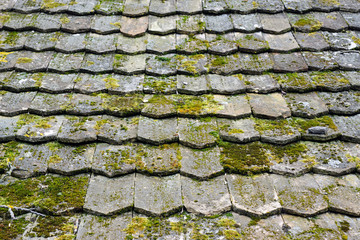 Old worn shingles with a lot of moss