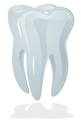 Brilliant Tooth, Isolated On White Background