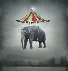 Fantasy elephant - 48738805