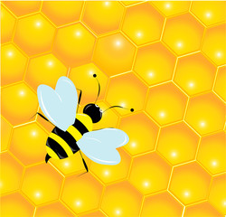 Bees and honeycombs