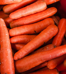 Carrots